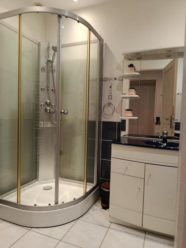 a bathroom with a shower with a glass enclosure at Appartement 2 in Aubigny-sur-Nère