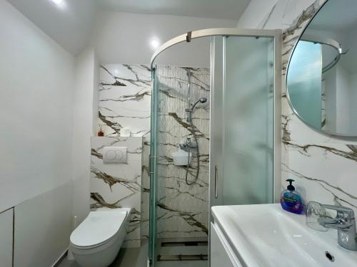 a bathroom with a shower and a toilet and a sink at Villa Kubo in Lovran