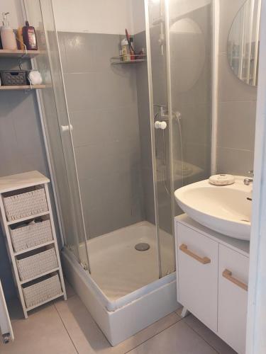 a bathroom with a shower and a sink at Jolie maison de Potier in Accolay