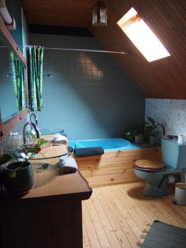 a bathroom with a toilet and a bath tub at La Sorcière et le Korrigan in Paimpont