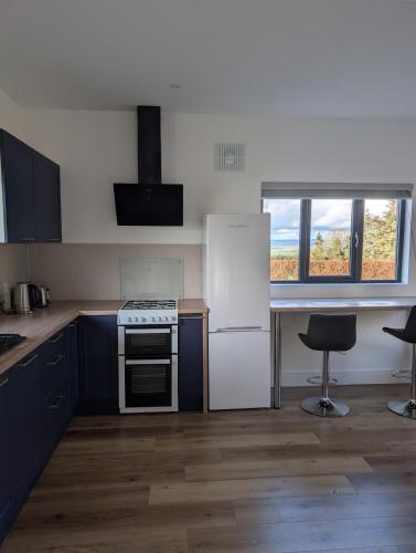 a kitchen with a white refrigerator and a stove at The Unplugged Snug in Kilkenny