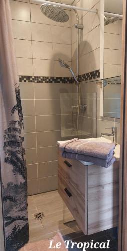 a bathroom with a shower with a sink and a mirror at Les Belles Terrasses Dieppe ,3 appartements , LE VEGETAL de 1 à 8 personnes , LE TROPICAL de 1 à 6 personnes , LE FLORAL avec TERRASSE de 1 à 3 personnes , quartier calme au stationnement gratuit à coté de l'avenue verte in Dieppe