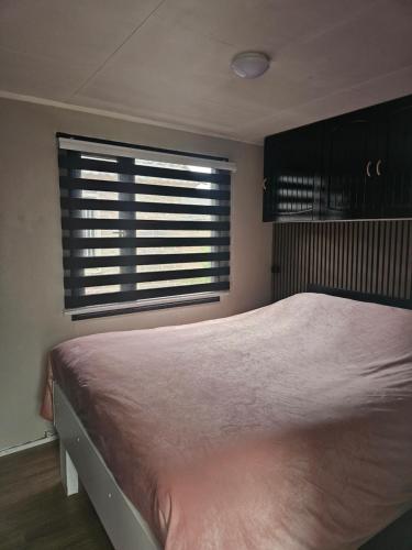 a bedroom with a large bed and a window at Houten Chalet nabij Beekse Bergen in Hilvarenbeek
