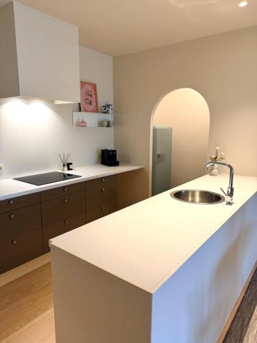 a kitchen with a sink and a counter top at Sien Suite in Brakel