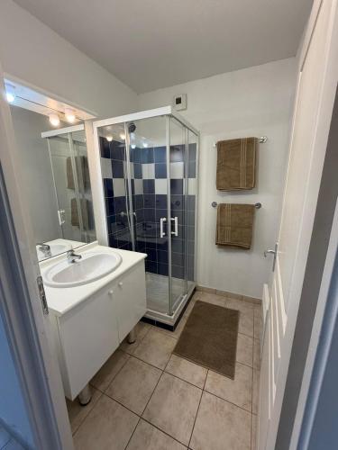 a bathroom with a sink and a shower at La Pause Larzac- T3 calme-terrasse - Proche Viaduc de Millau in La Cavalerie