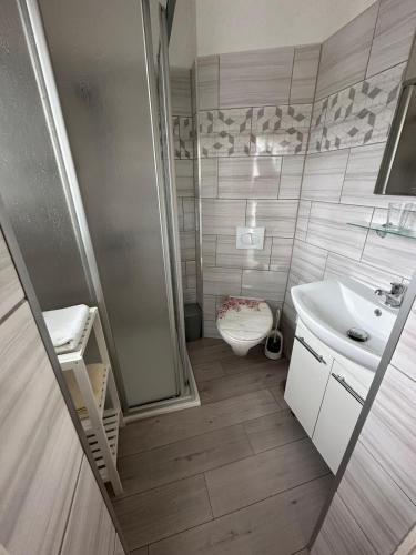 a bathroom with a shower and a toilet and a sink at Ferienwohnung Schulrath in Eichwerder