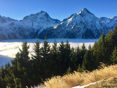 Appartement Les Cimes RDC, Les 2 Alpes, proche des pistes, WiFi, tout équipé