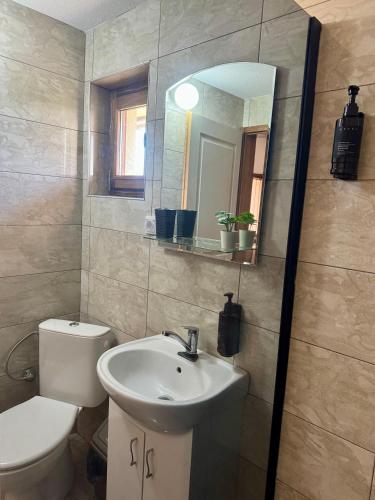 a bathroom with a sink and a toilet and a mirror at Apartmani Mladenovac in Mladenovac