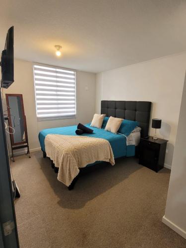 a bedroom with a blue bed and a window at Depto Comodo y full equipado in Antofagasta