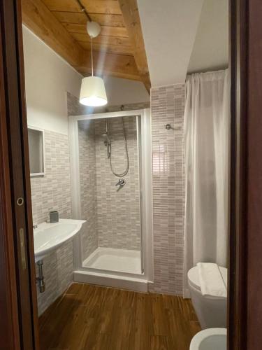 a bathroom with a shower and a sink and a toilet at La Pietra Gialla in Pietrapertosa