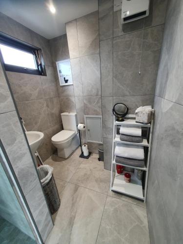 a bathroom with a toilet and a sink at Heron's Rest Studio in Macroom