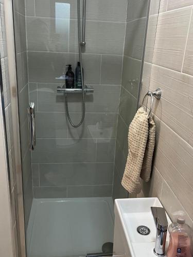 a bathroom with a shower and a toilet and a sink at The C & A Studio in Killala