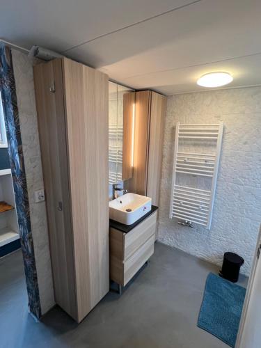 a bathroom with a sink and a mirror at WoonBoten Anna in Andijk