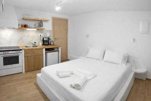 Naxian Vibes Apartments