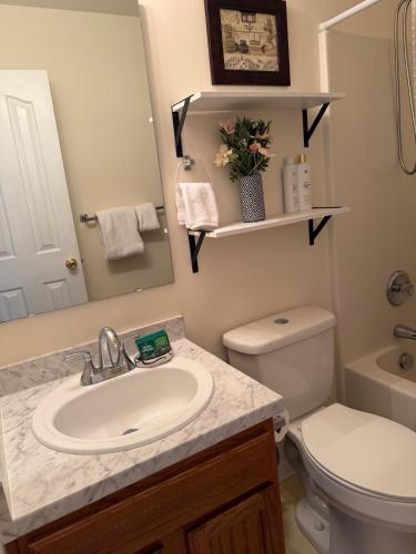 a bathroom with a sink and a toilet and a mirror at Beautiful Bed and Bath in South Charlotte in Charlotte