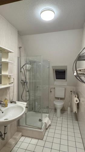 a bathroom with a shower and a sink and a toilet at Zur Schlossbrücke in Ritterhude
