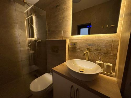 a bathroom with a sink and a toilet and a mirror at Flore's Garden in Bran