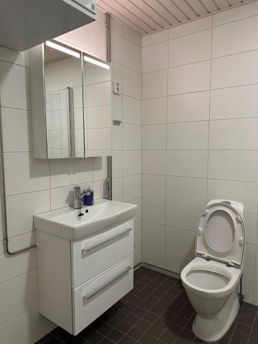 a bathroom with a toilet and a sink and a mirror at Appartment in Espoo in Helsinki