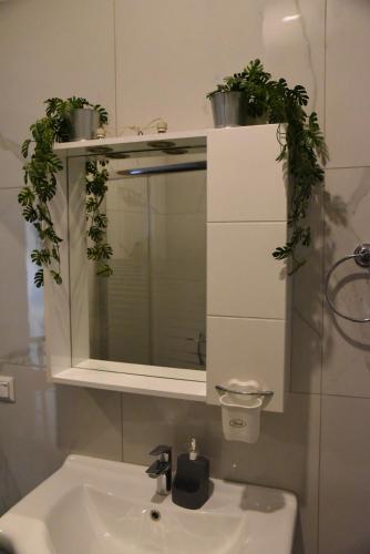 Altinium One Bedroom Apartment 2-6 Pax