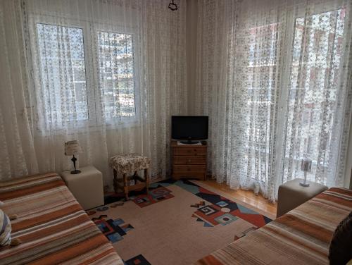 Olga's Home