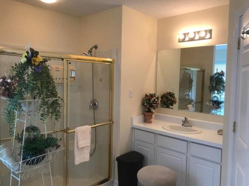 a bathroom with a shower and a sink at Three Springs Plus in Lovingston