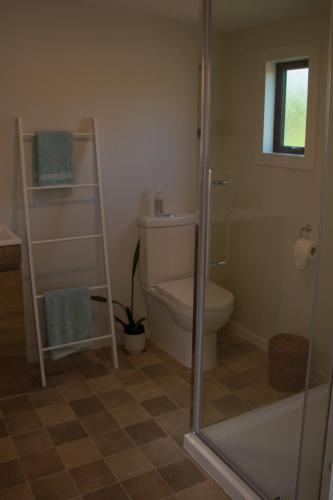 a bathroom with a toilet and a glass shower at HavenRidge Alpaca Glamping Cabins in Kaiwaka