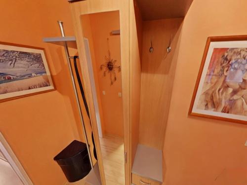 a door to a hallway with a spider on the wall at Appartement Sandra im Bayerischen Wald mit Pool in Freyung
