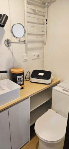 a bathroom with a counter with a toilet and a sink at Tiny house avec jacuzzi in Cadenet