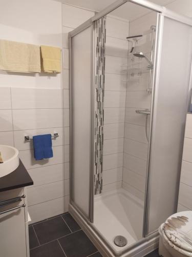 a shower with a glass door in a bathroom at FeWo 3 mit Terrasse, Box-Bett, kl extra Zi mit Einzelbett, Tresor in Dahme