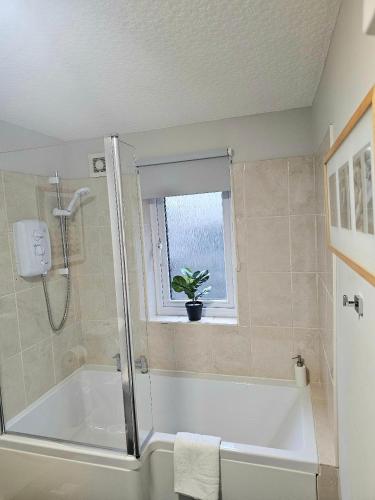 a bathroom with a shower and a tub with a plant in the window at Last Yan - Stylish Ambleside Stay in Ambleside