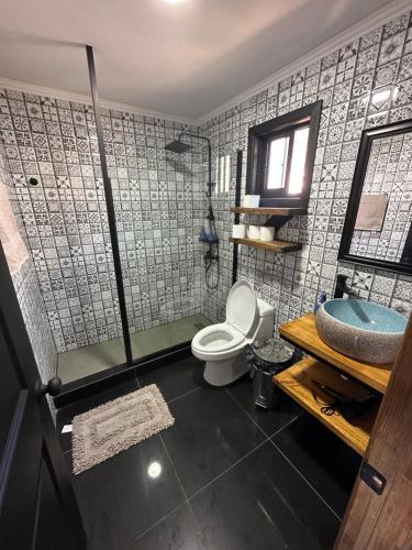 a bathroom with a shower and a toilet and a sink at Rukamar Cocholgue in Tomé
