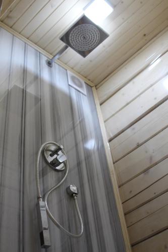 a shower with a shower curtain and a shower head at Villa Kaiser in Lviv