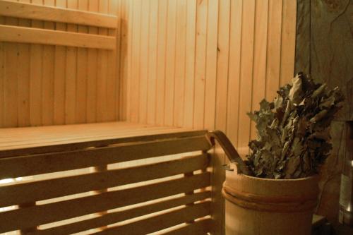 a potted plant sitting next to a wooden bench at Villa Kaiser in Lviv