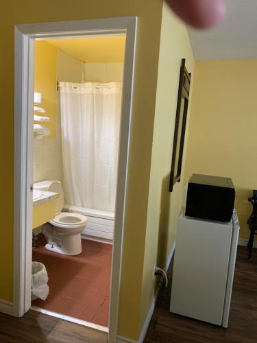 a bathroom with a toilet and a sink and a shower at Spanish River Inn in Spanish