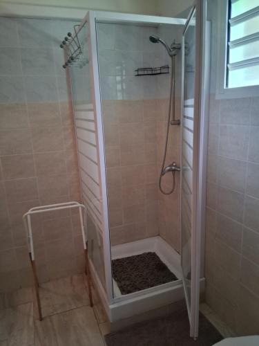 a shower with a glass door in a bathroom at Villa Greg in Bouillante