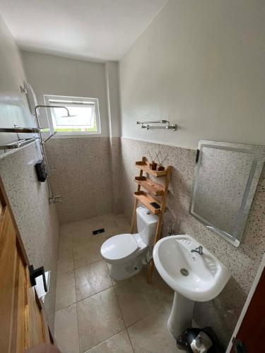 a bathroom with a toilet and a sink at Tyne Haven in San Juan