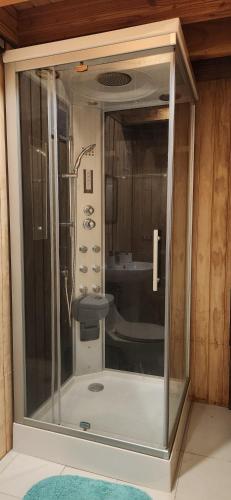 a glass shower in a bathroom with a sink at casa caburgua en cerro in Caburgua