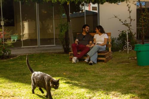 a man and a woman sitting on a bench with a cat at Casa Rumi - Guesthouse in La Paz