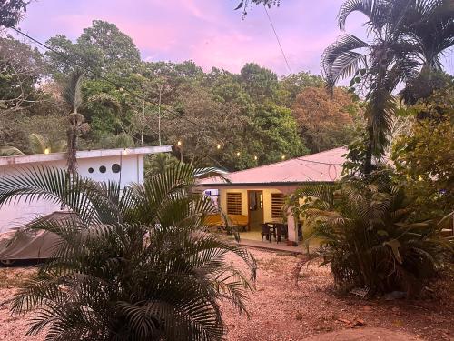 a yellow and white house with trees in the background at Casa Maya Guesthouse in Mal País