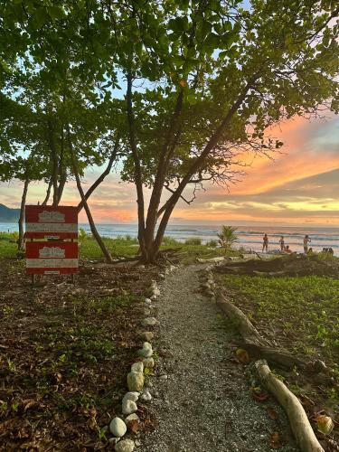 a tree on a beach with a sign and people on the beach at Casa Maya Guesthouse in Mal País