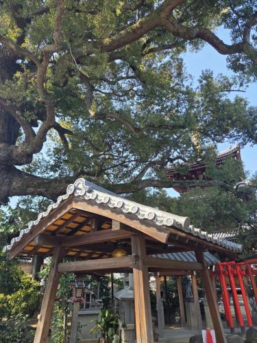 夕拾 Yuhiroi 日式和风庭院 地铁直达梅田