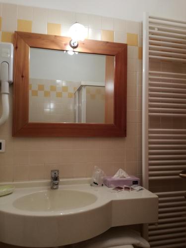 a bathroom with a sink and a mirror at Hotel Ca' del Bosco in Selva di Cadore