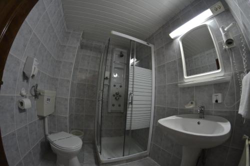 a bathroom with a toilet and a sink and a shower at Pension Restaurant Speranta in Predeal