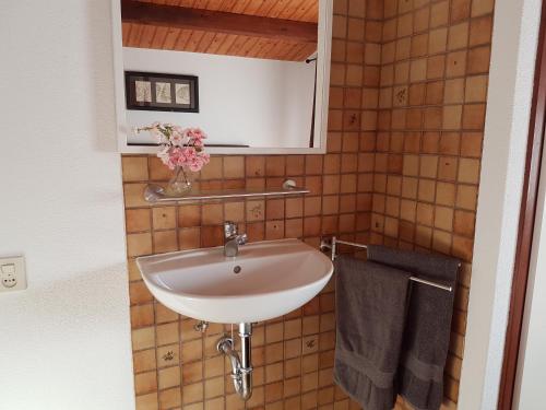 ein Badezimmer mit einem Waschbecken, einem Spiegel und Handtüchern in der Unterkunft HUIS MARIANNE Bed by the Sea in Westkapelle