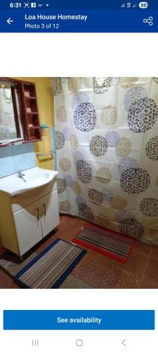a bathroom with a sink and a shower curtain at sandbar Homestay in Lautoka