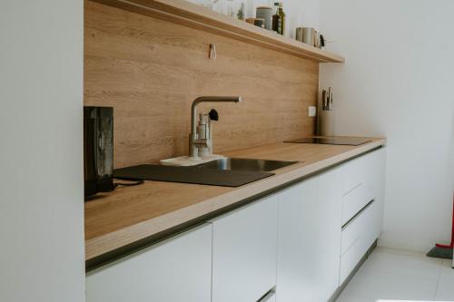 a kitchen with a sink and a counter at Up and above in Kobarid