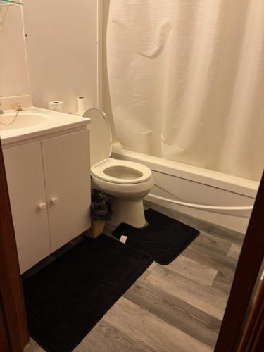 a bathroom with a white toilet and a shower at Theodore Motor Hotel in Theodore