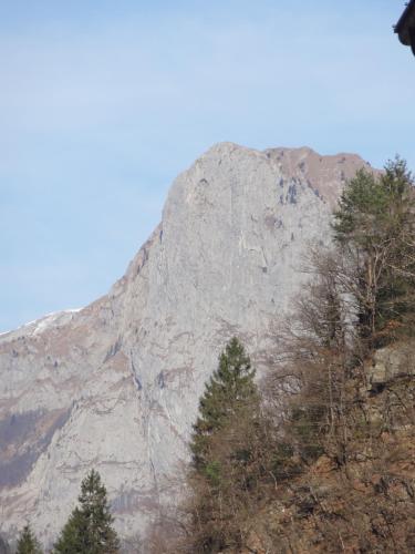 a large mountain with trees in front of it at Hotel Galles in Paluzza