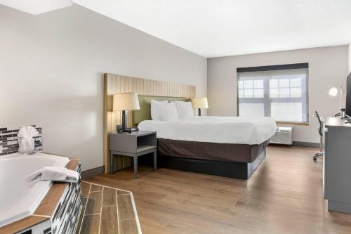 a hotel room with a bed and a sink at Country Inn & Suites by Radisson, Georgetown, KY in Georgetown