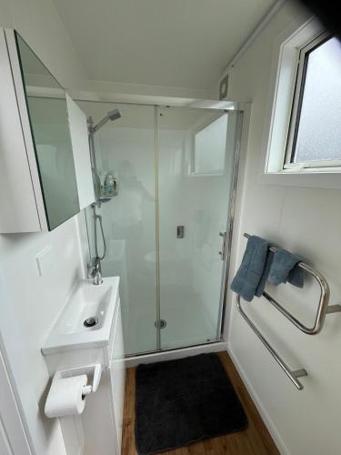 a bathroom with a shower and a sink at The Bothy by the lake in Lake Hāwea